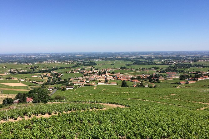 Macon & Beaujolais Wine Tour (9:00 Am to 5:15 Pm) - Small Group Tour From Lyon - Common questions