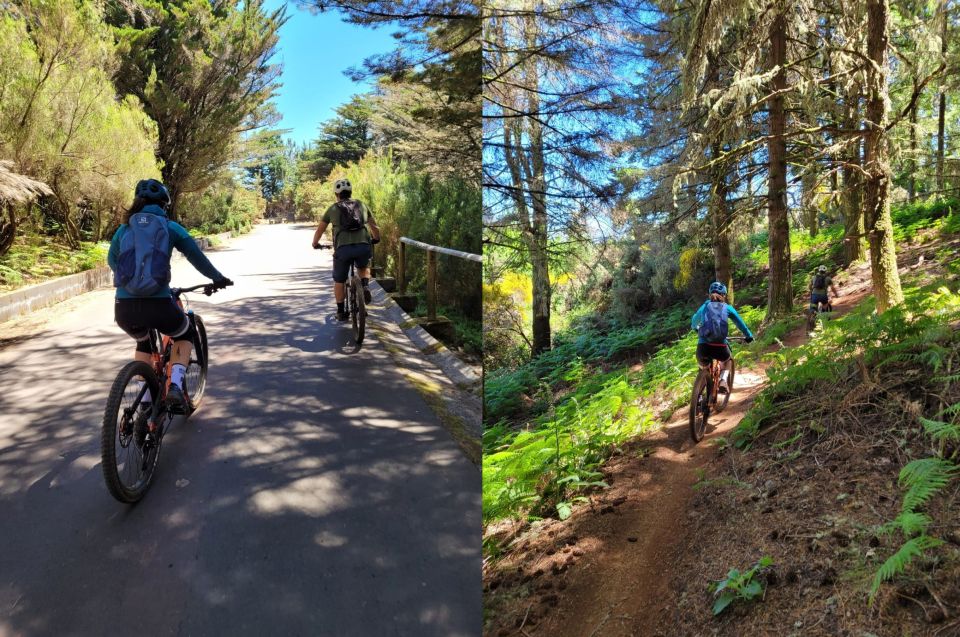 Madeira - Mountain Biking Tour - Booking Information