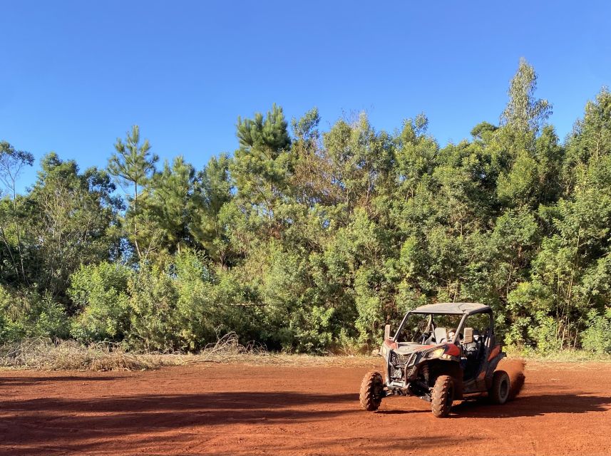 Madeira: Private Off-Road Buggy Driving Experience - Booking Information
