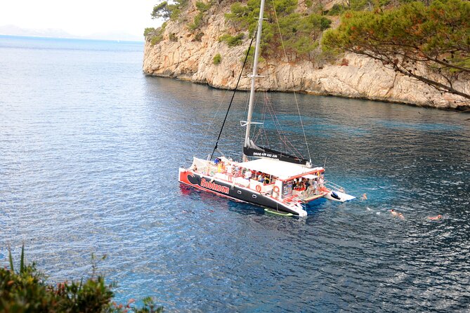 Mallorca Catamaran Tour in the Bay of Pollensa - Traveler Reviews