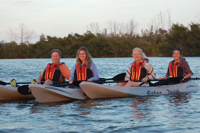 Mangrove Tunnels, Manatee, and Dolphin Sunset Kayak Tour With Fin Expeditions - Logistics and Meeting Points