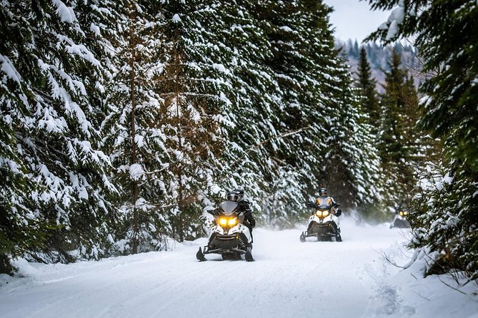 Mont-Tremblant Guided Snowmobile Tours - Additional Information