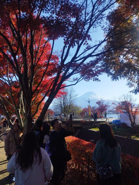 Mount Fuji-Lake Kawaguchi Private Tour With Bilingual Driver - Final Words