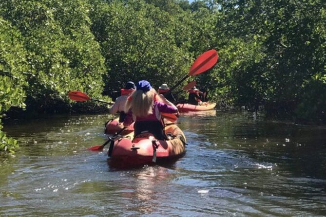 Nauti Exposures - Guided Kayak Tour Through the Mangroves - Pricing Information