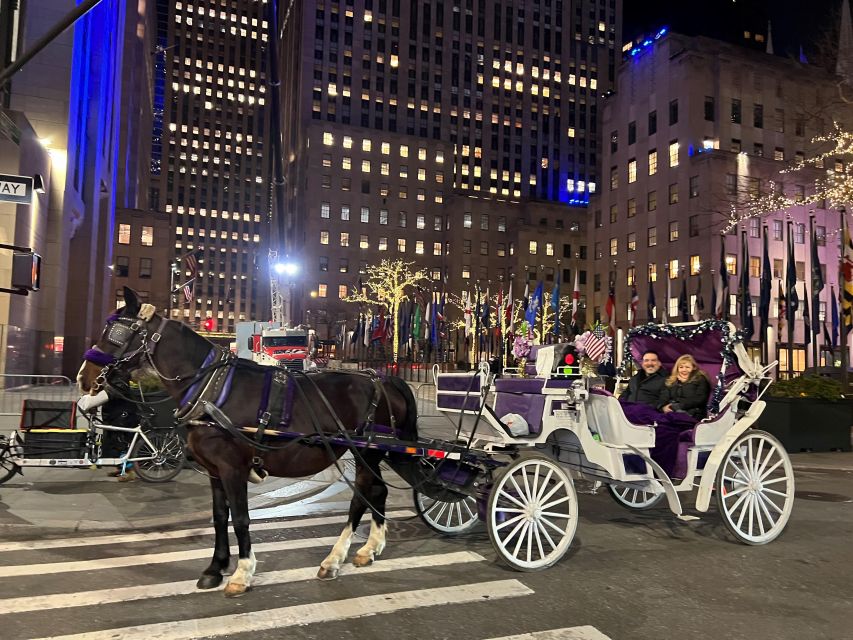 NYC: Guided Central Park Horse Carriage Ride - Final Words