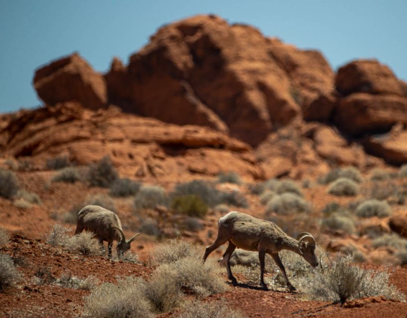 Off-road Desert Adventure: Secrets of the Old West - Inclusions and Amenities Provided