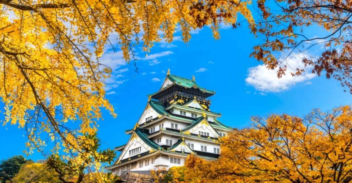 Osaka: 10-Hour Customizable Tour With Private Car - Booking Information