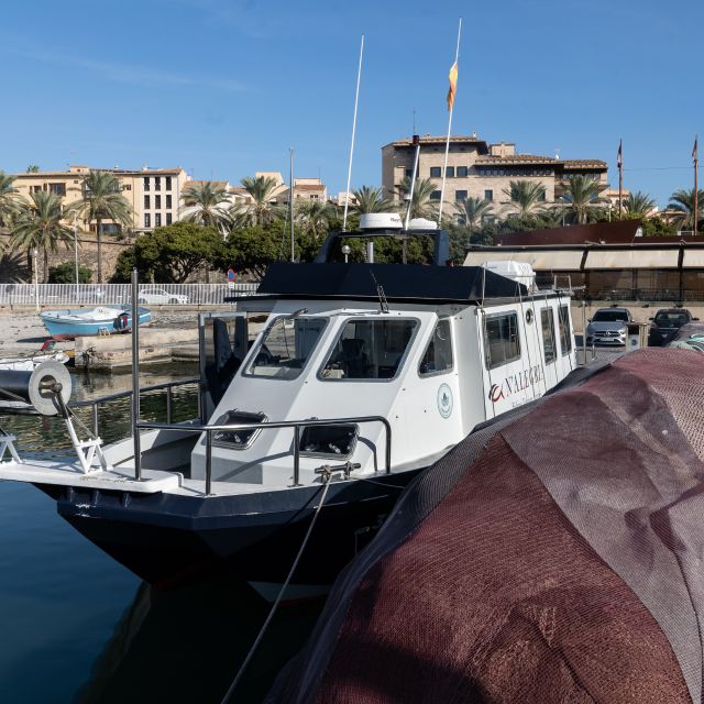 Palma De Mallorca: Local Fishing Activity - Booking Information