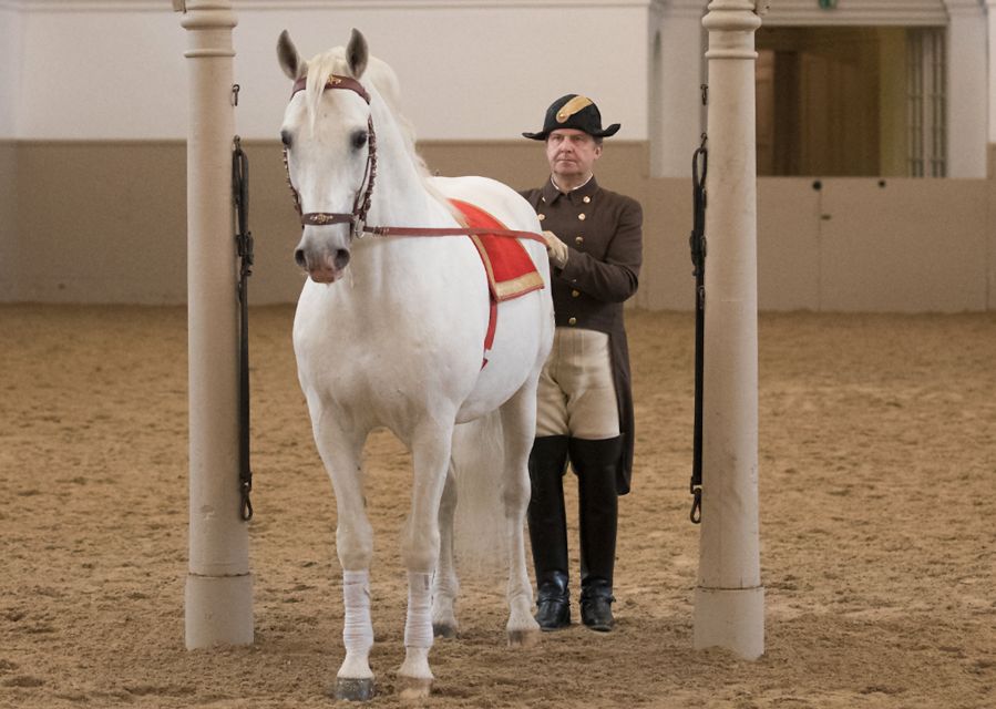 Performance Of The Lipizzans At Spanish Riding School - Inclusive Experience Inclusions