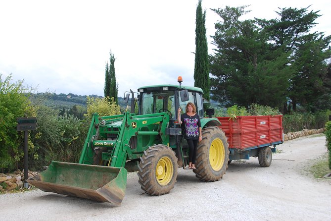 Pienza, Val Dorcia, Montalcino Wine and Pecorino Cheese PRIVATE TOUR From SIENA - Common questions