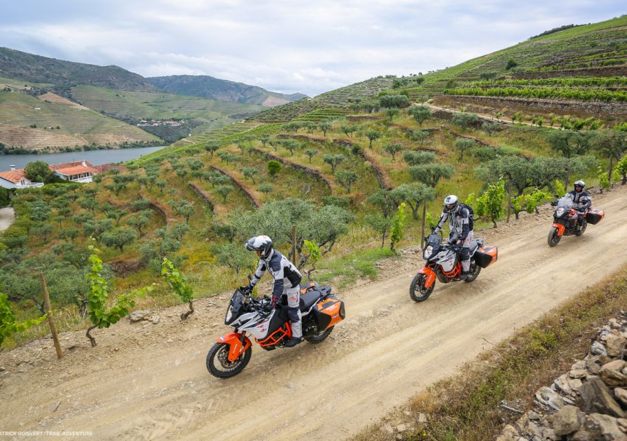 Porto & Douro Valley Experience - MOTO ADVENTURE - Booking Information