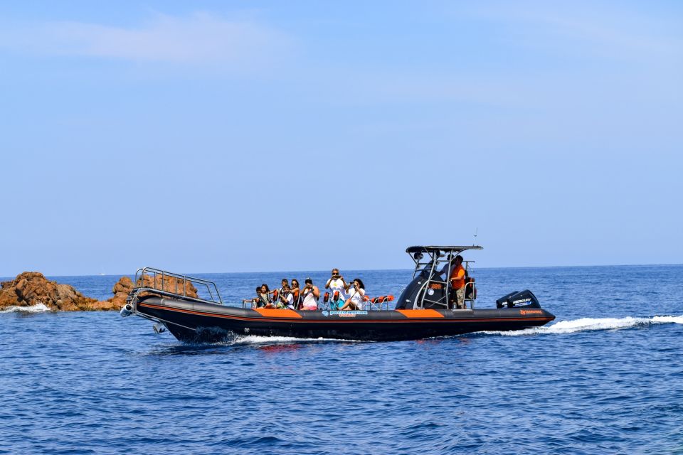 Porto: Scandola and Calanches of Piana Boat Trip - Departure Information