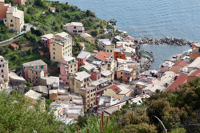 Private Cinque Terre Trekking Tours - Guide Expertise and Experiences