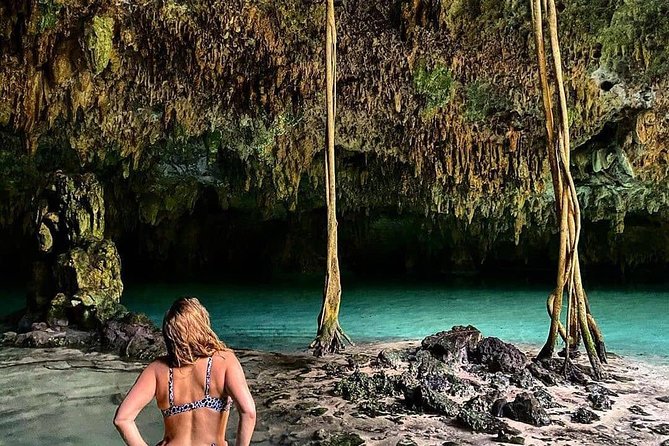 Private Guided Cenotes and Underground River Exploration - Viator Assistance and Booking