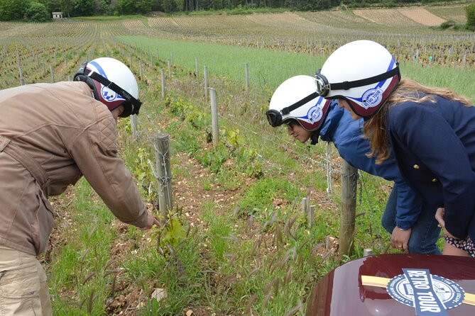 Private Guided Sidecar Tour in Burgundy From Meursault - Tour Inclusions