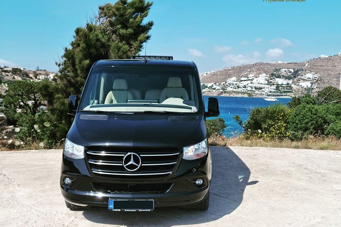 Private Luxury Transfer up to 11 Passengers - Additional Information