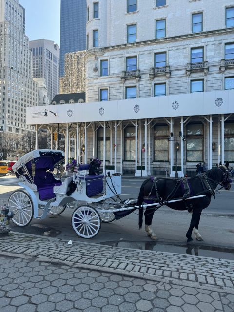 Private NYC Lights or Christmas Lights Horse Carriage Tour - Directions and Booking Information