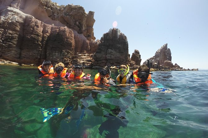 Private Snorkeling Tour in Cabo San Lucas - Tour Operator and Booking Platform