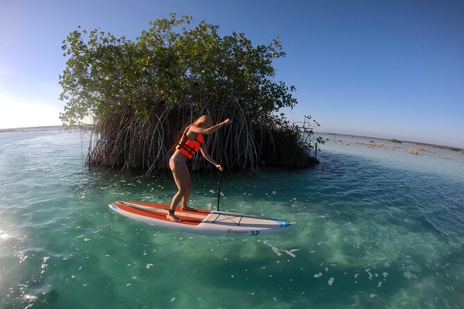 Private SUP Tour - Common questions