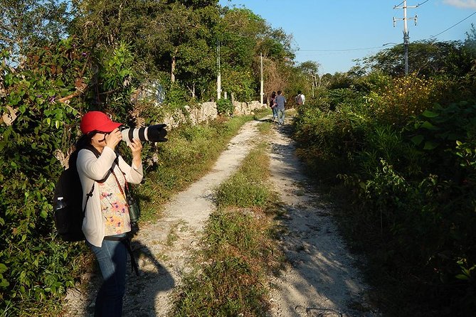 Private Tour: Birdwatching From Cancun - Birdwatching Highlights