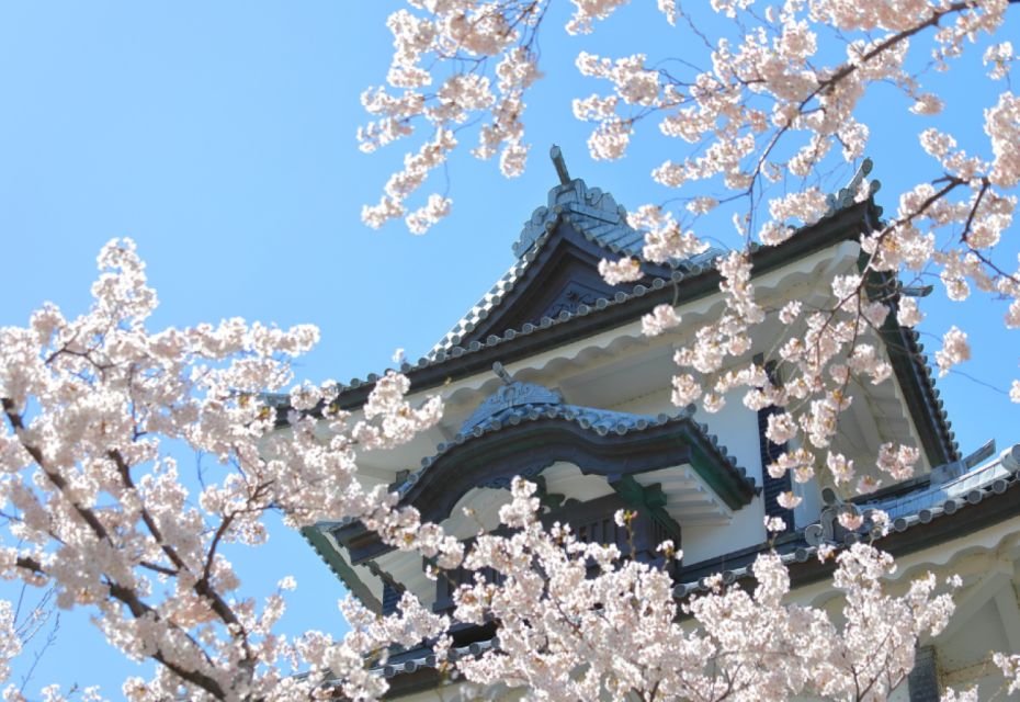 Private & Unique Kanazawa Cherry Blossom "Sakura" Experience - Final Words