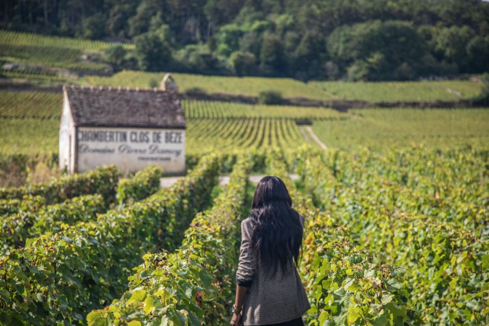 Private Wine Tour in Côte De Nuits and Côte De Beaune - Additional Information