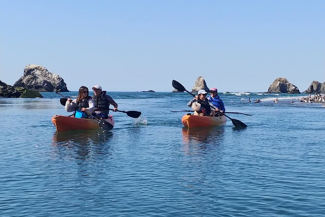 Russian River Kayak Tour at the Beautiful Sonoma Coast - Feedback and Support Information