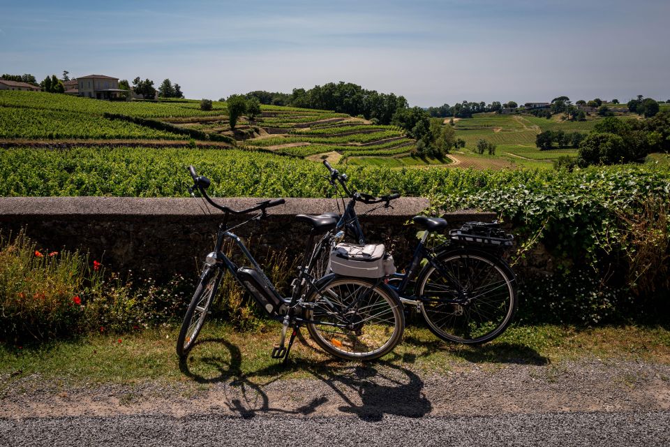 Saint-Émilion: Wine Tour by Electric Bike and Lunch - Customer Reviews