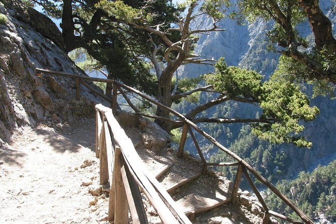 Samaria Gorge Trek: Full-Day Excursion From Chania - Tour Highlights and Customer Feedback