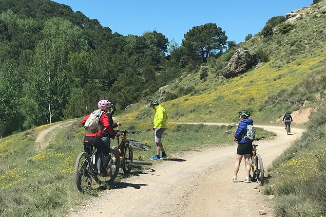 Sierra Nevada Ebike Tour Small Group - Group Size