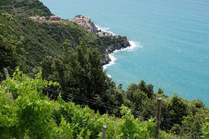 Small-Group Cinque Terre Discovery With Seafood Lunch - Pricing and Booking