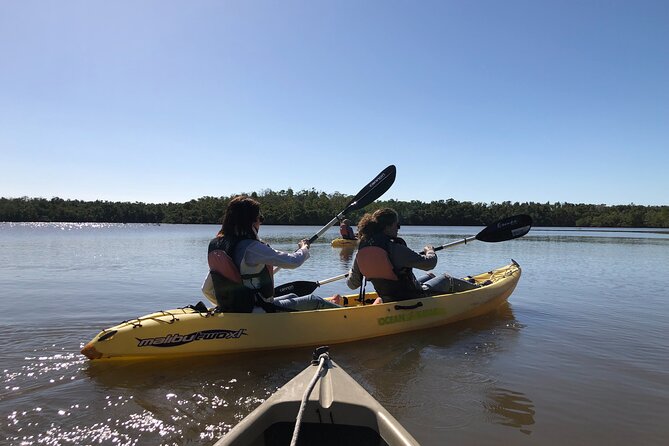 Small-Group Everglades Boating Kayaking and Walking Eco Tour - Common questions