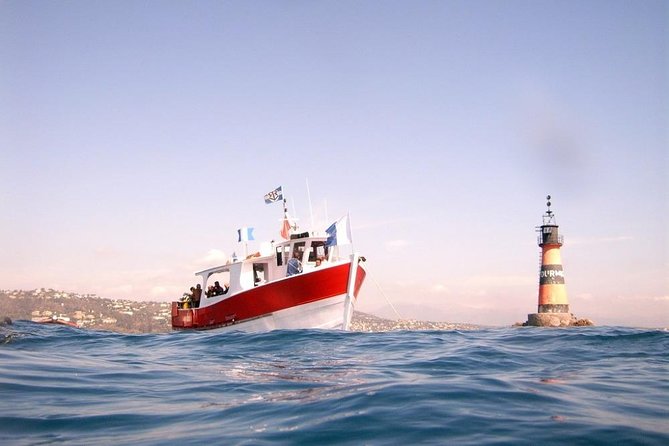 Snorkeling - by Boat on Site in the Bay of Cannes or Estérel - Customer Reviews