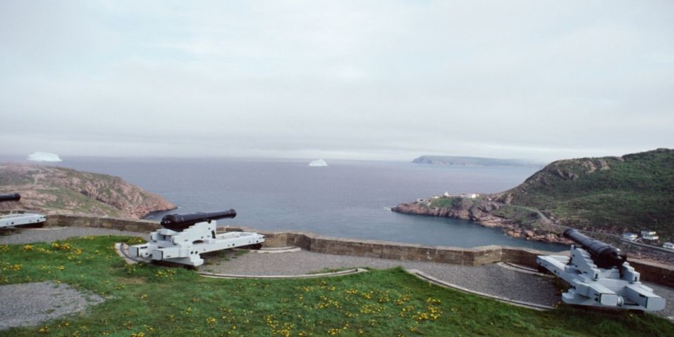 St. John'S: Small Group Tour With Iceberg Quest Boat Cruise - Cape Spear and Signal Hill Visits