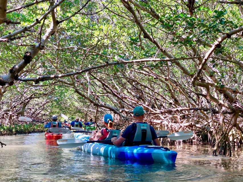 St Pete & St Pete Beach: Coastal Kayak Charters - Important Information