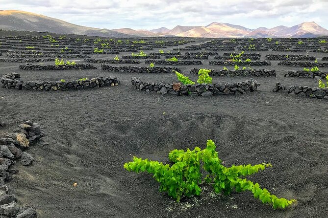 Timanfaya & Lanzarote Volcano Experience - Common questions