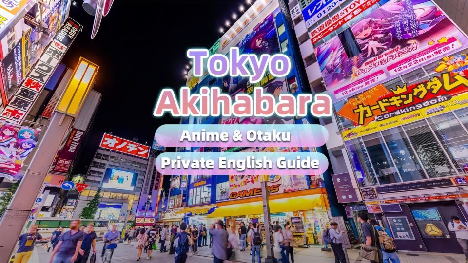 Tokyo: Anime&Otaku Private Tour With Expert English Guide - Additional Info