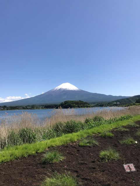 Tokyo: Mt Fuji Area Guided Tour With Traditional Lunch - Booking Process & Information