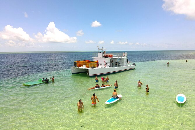 Ultimate Key West Kayak Eco-Tour: Mangrove and Sandbar Adventure - Tour Experience Highlights