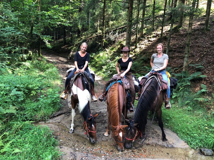 Upper Austria: Landscape, Forests, Meadows - Captivating Landscape Views