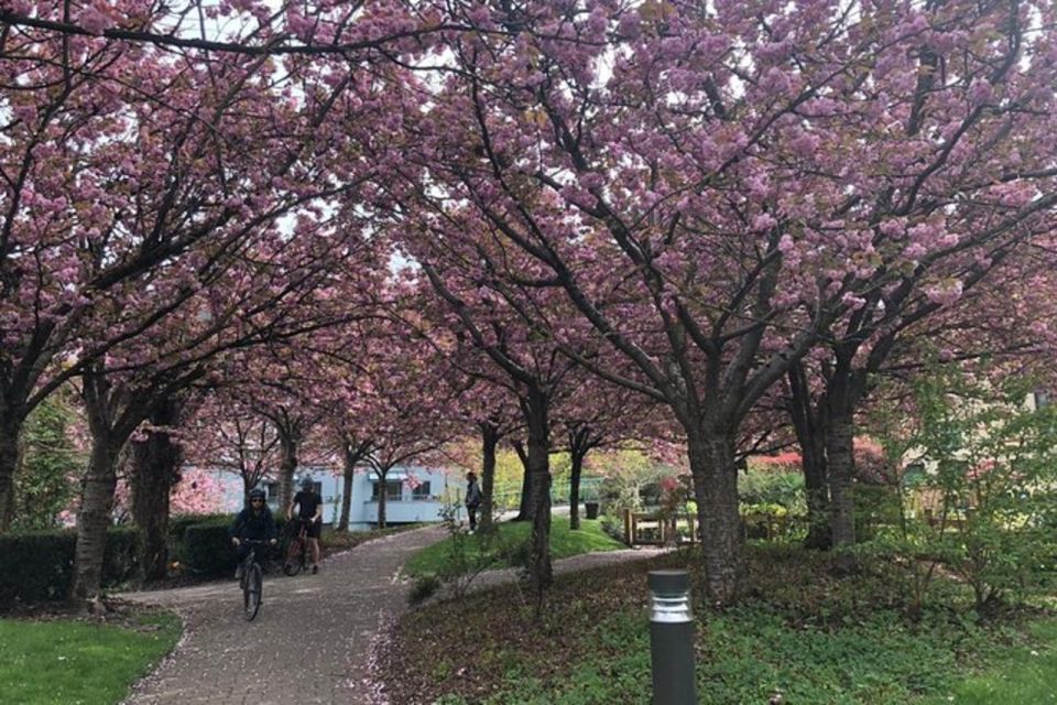 Vancouver City Tour With Flyover Canada & Vancouver Lookout - Experience Highlights and Personalization