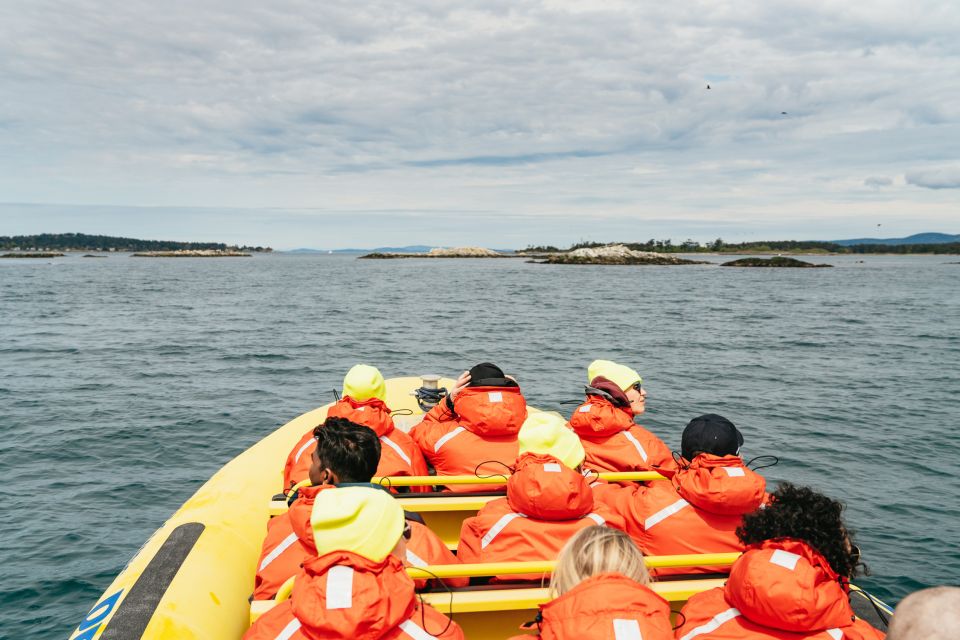 Victoria: 3-Hour Whale Watching Tour in a Zodiac Boat - Customer Reviews