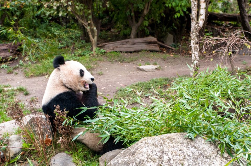 Vienna: Skip-the-line Tickets for Schönbrunn Zoo - Visitor Reviews