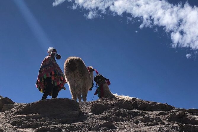 Vinicunca Rainbow Mountain Tour Including Breakfast & Lunch From Cusco - Customer Support & Pricing