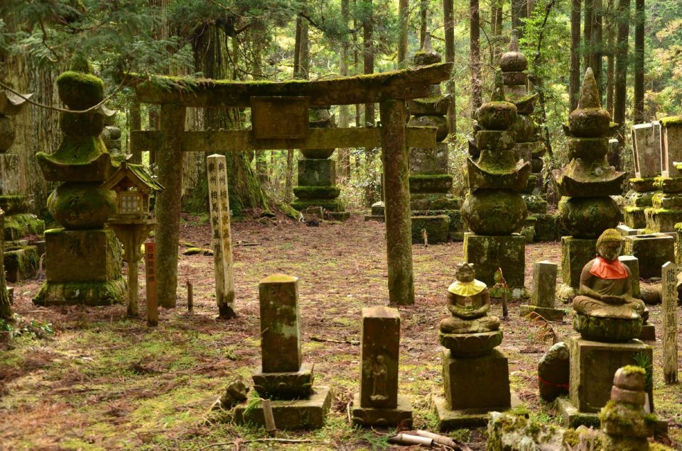 Wakayama: Mt. Koya Private Walking Tour With Local Guide - Common questions