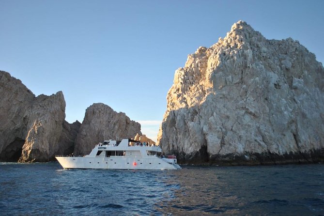 Whale Watching Cruise in Los Cabos - Important Booking Information