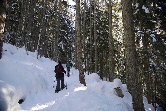 Whistler Small-Group Full-Day Snowshoe Tour - Booking Information