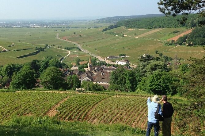 Wine Walking Tour Through the Burgundian Vineyards - 2h - Common questions