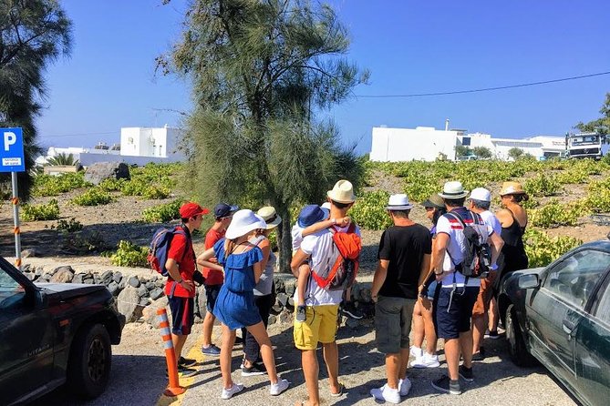 6-Hour Private Best of Santorini Experience - Common questions