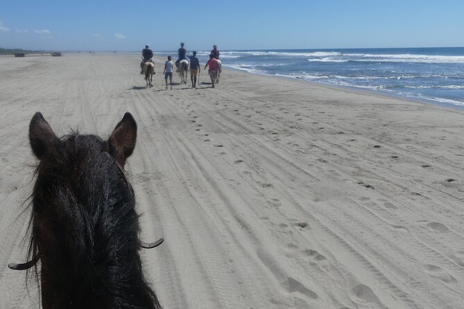 Acapulco Beach Horseback Riding Tour With Baby Turtle Release - Additional Information for Participants